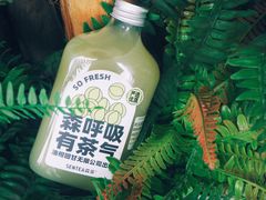 青玉油柑-SENTEA森茶(麦地丽日店)