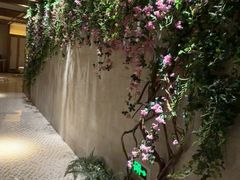 -浅深(北京北四环精品店)