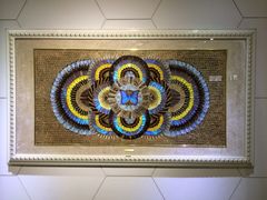 -上海昆虫博物馆