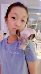 -Moni星球萌宠·小马宝莉·灵蛇·高端高阶全萌宠互动体验俱乐部(红豆国际广场店)
