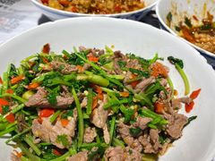 香菜炒牛肉-壹盏灯(蚂蚁工房店)