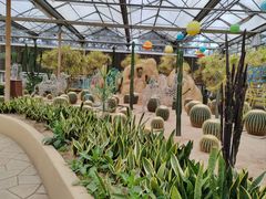 -南宫五洲植物乐园