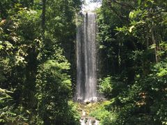 -新加坡飞禽公园