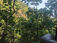 -广州白江湖森林公园