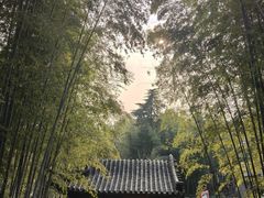 -求雨山文化公园