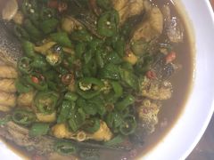 -全乐鱼馆·淳牌有机鱼直营店