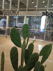 -MMbyHair Code芭曲发型