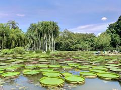 -中国科学院西双版纳热带植物园