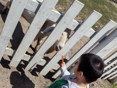 -前小桔亲子创意农场·草莓采摘·露营烧烤
