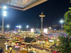 -西双版纳原始森林公园