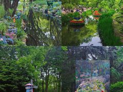 -上海共青森林公园