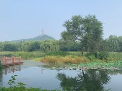 -北坞公园
