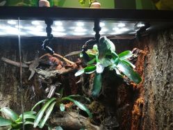 -酷嗒动物文化乐园(cutezoo西溪乐天城店)