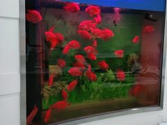 -雅悦齿科(顾村公园店)