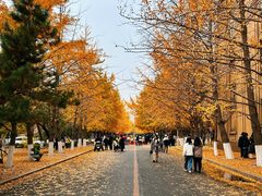 -辽宁大学(崇山校区)