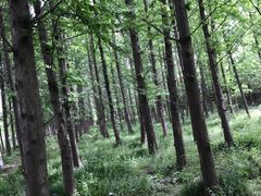 -云龙湖旅游景区