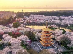 -古琴台