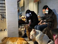 -萌喵咖啡屋(人民东路4号口M16商铺店)