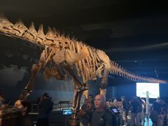 -美国自然历史博物馆