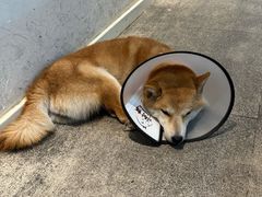 -三目仓咖啡(贤南路店)