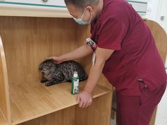 -美联众合动物医院·24h京西诊疗中心