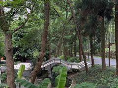 -东明山森林公园