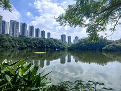 -重庆彩云湖湿地公园