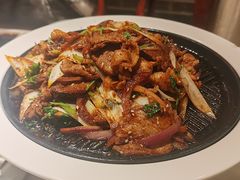 -鸭匠食府·挂炉烤鸭·新京菜(阜成路店)