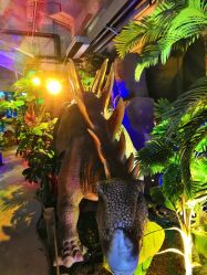 -恐龙探索乐园(磁器口店)