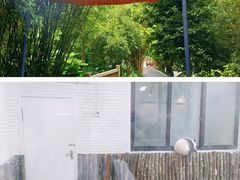 -成都大熊猫繁育研究基地