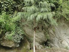 -硗碛藏寨·神木垒景区