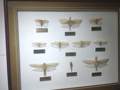 -上海昆虫博物馆