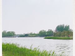 -大兴滨河森林公园