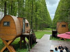 -黄海国家森林公园