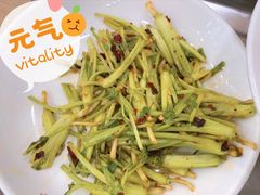香菜根-老四季(南市场店)