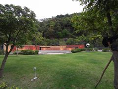 -香港大学