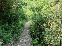 -宁波五龙潭景区