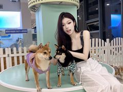 -怪兽屋·羊驼·猫咖·狗咖(俊华广场店)