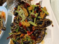 -东北大院·东北菜(三台子店)