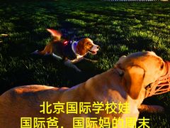 -日本大使馆-新闻文化中心