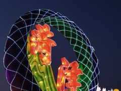 -曹州牡丹园