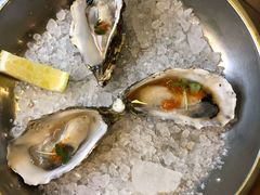 oyster-植物园哈利亚餐厅