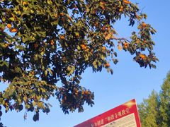 -白台寺