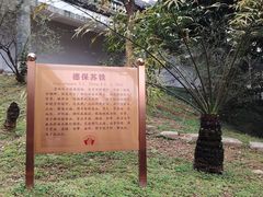 -广州神农草堂中医药博物馆