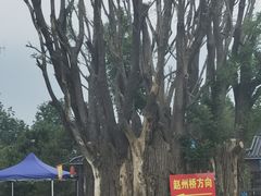 -赵州桥景区