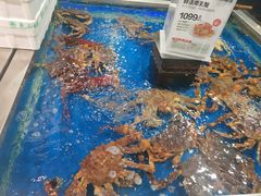 -盒马鲜生(红莲店)