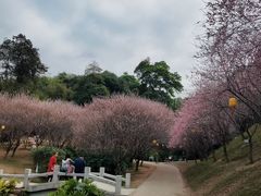 -桃花涧