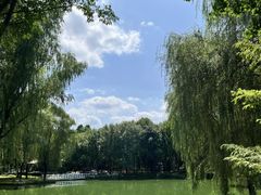 -石家庄市植物园