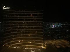 -拉斯维加斯永利酒店