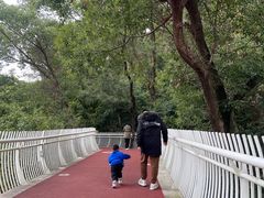 -金鸡山公园